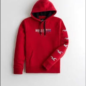 Mens Hollister Hoodie